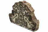 Tall, Brown Arizona Petrified Wood Bookends #222920-2